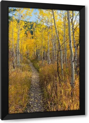 ArtDirect USA-Wyoming. Trail through autumn Aspens and grasslands-Black Tail Butte-Grand Teton NP. Custom Framed Art Print Giclee Print or Canvas Options with Various Sizes and Customization by Zimmerman, Judith