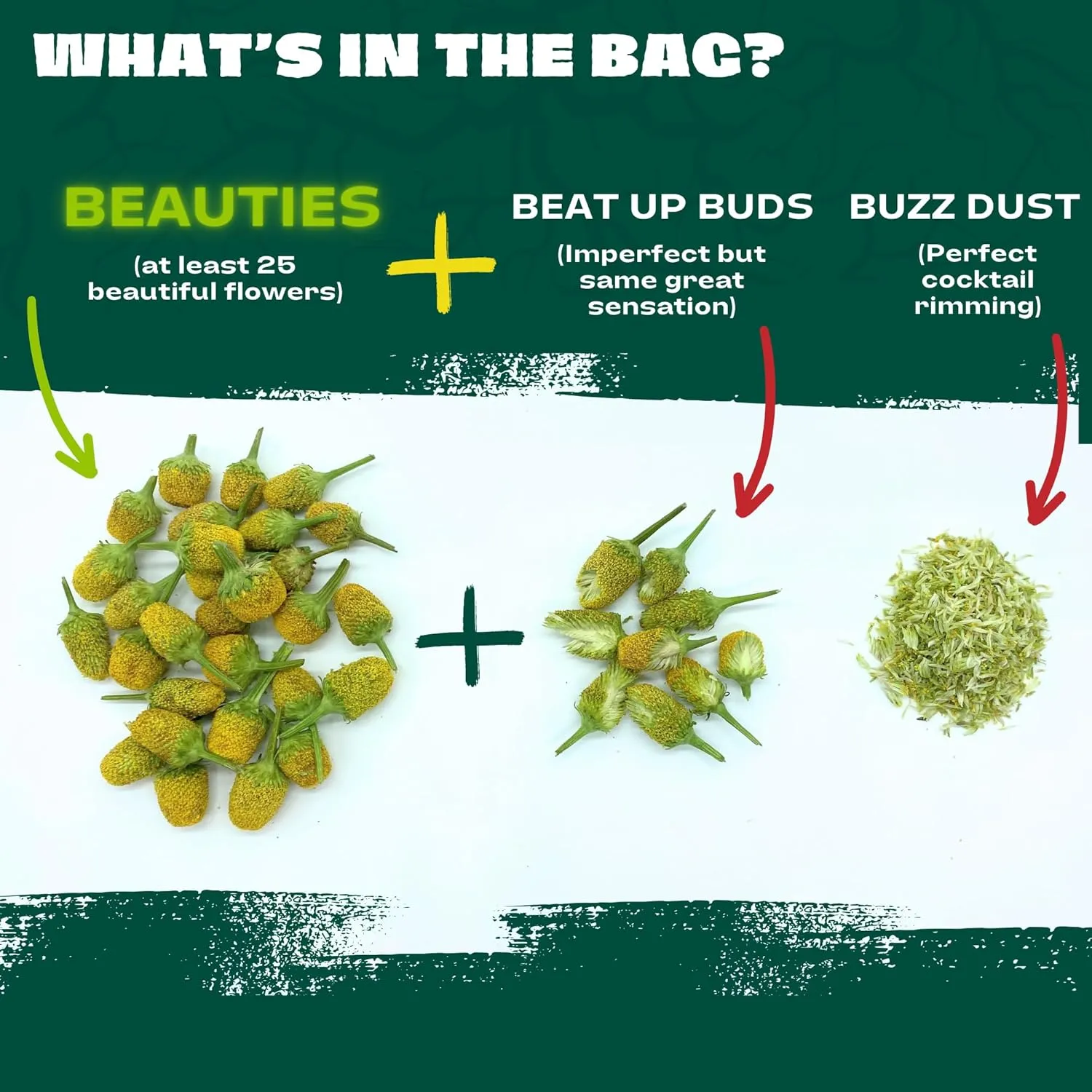 Buzz Buttons Edible Flowers for Cocktails | Grown in USA | Spilanthes | Freeze Dried Edible Flowers for Drinks | Szechuan Buttons | Edible Dried Flowers for Drink Garnish | .2oz Pouch