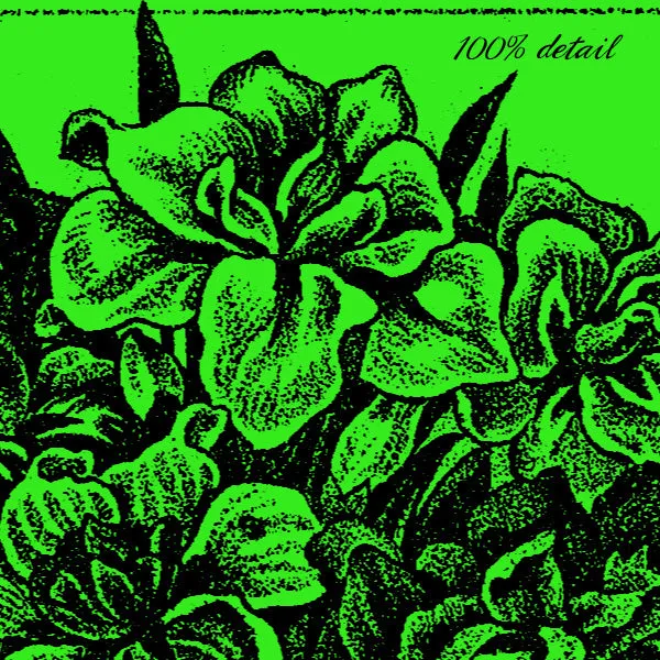 Garden Ephemera