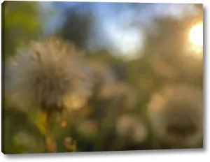 Golden Hour II by Popcorn - 12" x 16" Canvas Art Print Gallery Wrapped - Ready to Hang