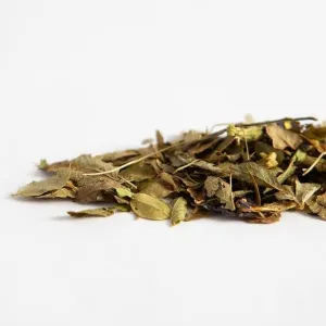 Loose Leaf Blueberry Time Machine: Antioxidant Tea