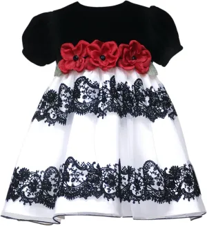 Rare Editions Toddler Girls Velvet and Tulle with Flocked Lace Party Dress, Ivory, 2T