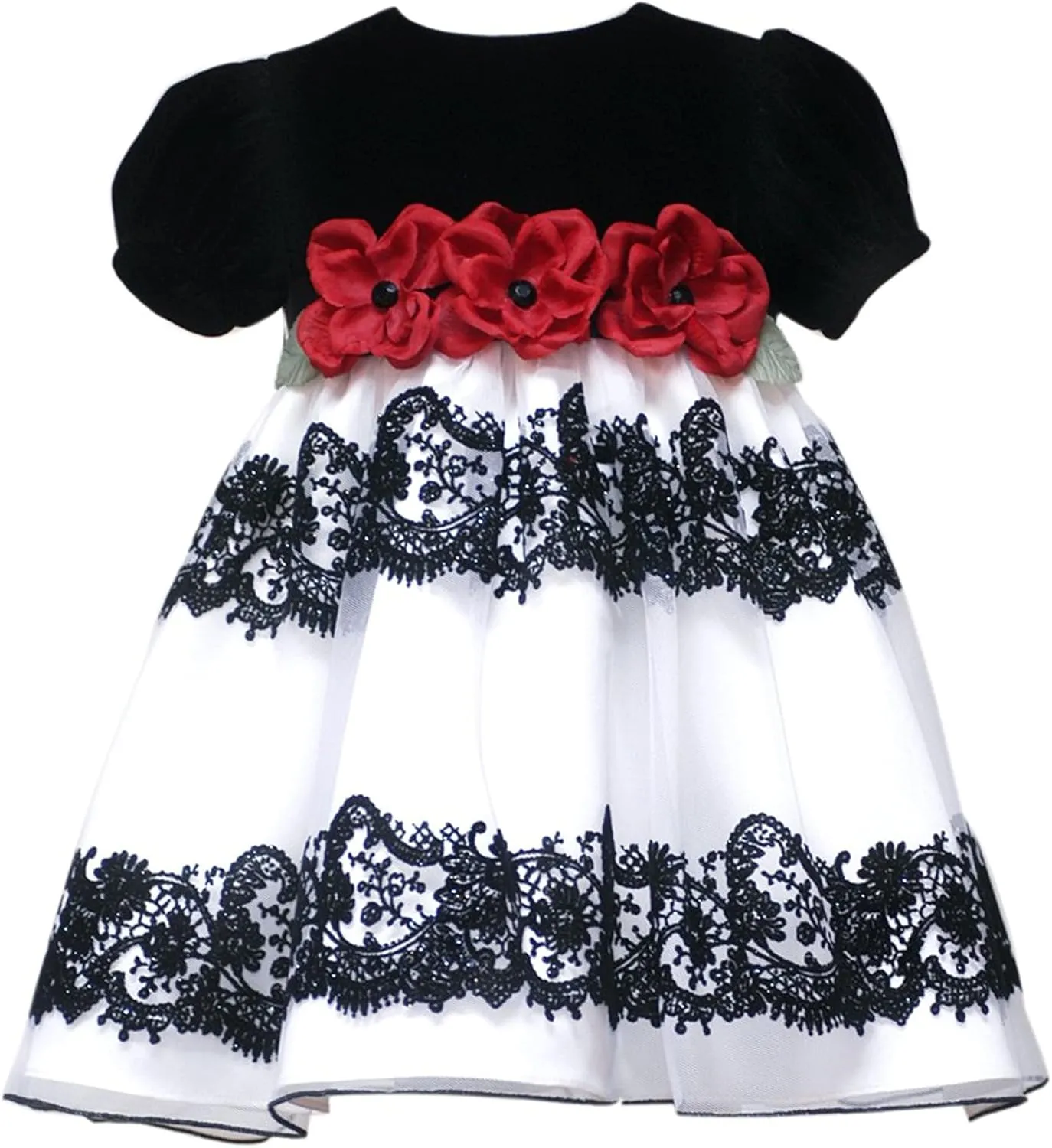Rare Editions Toddler Girls Velvet and Tulle with Flocked Lace Party Dress, Ivory, 2T