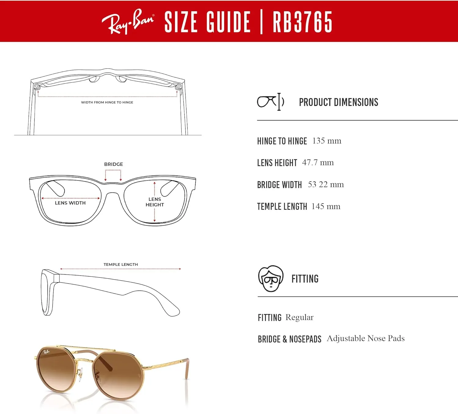 Ray-Ban RB3765 Rounded Hexagonal Sunglasses for Men for Women   BUNDLE With Designer iWear Complimentary Eyewear Kit