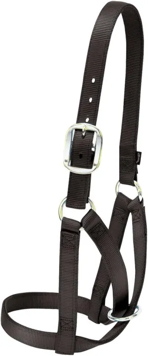 Weaver Leather Barn Cow Halter